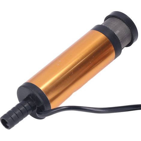 Pompe à Huile Électrique Mini Portable avec Filtre, Transfert Eau Carburant Diesel, 12V DC, 38mm (1/5)