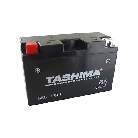 Batteria al Piombo stagno 12V Gel/AGM, 6,5A. L: 150, L: 65, H: 90mm, + a Sinistra. - Batteria da mettere in acido prima della consegna