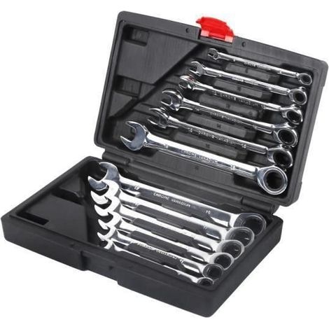 12PCS Malette Jeu Combiné Clé Mixtes a Cliquet 8-19mm Métrique Dent Clé Plate - Molette Réversible Mixtes Outil (1/4)