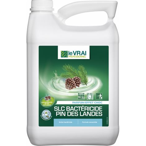 Détergent bactéricide pour nettoyeur haute pression – Spécial bois et surfaces délicates – Nettoyage efficace et rapide – Action Pin
