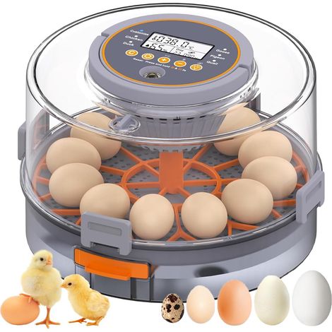 Incubateurs for œufs à couver, incubateur for 12 Poules avec retournement Automatique des œufs et contrôle de l'humidité, Accessoires for Poussins avec Bougie à œufs, incubateur for Poules