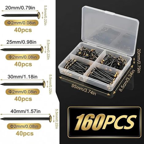 Clous Pointe Acier Set, 20/25/30/40 mm Clous Acier, Clous Tableaux, Clous Suspension Briques Plâtre Bois (1/4)