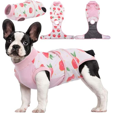 Recovery Suit for Dogs Cats After Surgery, Pet Recovery Shirt Abdominal Bandages for Dogs, Replacement Collar and Cone (1/5)