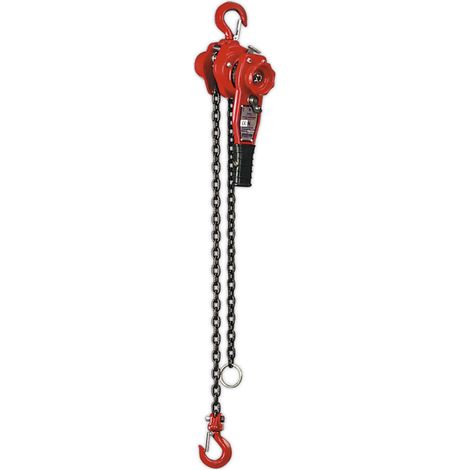 Sealey Lever Hoist Steel 750kg LH750