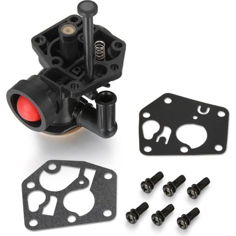 Carburateur pour moteur Briggs & Stratton Sprint Classic 498809 498809A