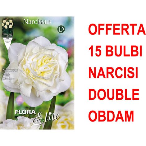 OFFERTA 15 BULBI NARCISO DOUBLE OBDAM BULBS BULBES