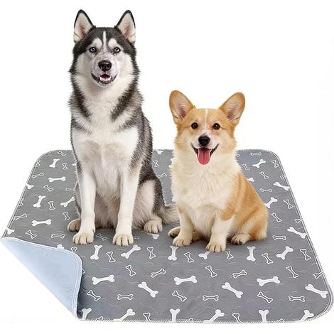 Tapis De Propreté Chien, Tapis Pipi Chien Lavable, Réutilisable, Antidérapant Et Etanche, Les Alèses pour Chien pour Tous Les Gabarits De Chats Et De Chiens(Gris) (1/5)