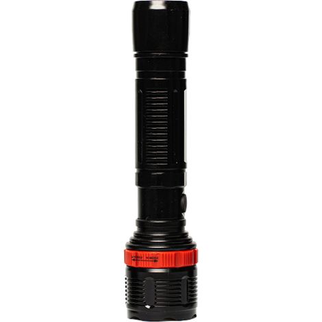 Torcia LED 250 Zoom (1/5)