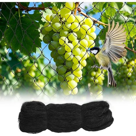 Filet Anti Oiseaux, 4mx12m Filet Protection Oiseaux, Filet Jardin Potager, Filet Poules de Protection, pour Verger, Potager, Etang à Poissons, Arbre Fruitier, Maille Fines de 2 x 2 cm, Noir (4 12M) (1/5)
