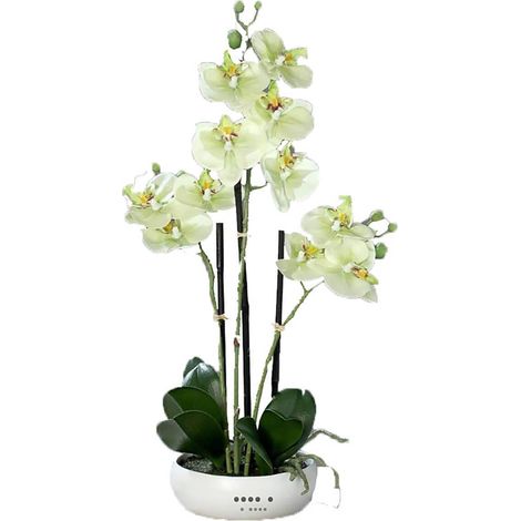 Orchidée factice 3 hampes coupe céramique H45cm touché réel Crème vert - couleur: Crème vert