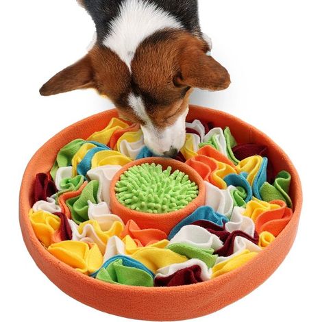 Juguetes para perros, juegos de olfato, comederos, ejercicios de entrenamiento cerebral y maneras de aumentar la energía de tu perro (1/4)