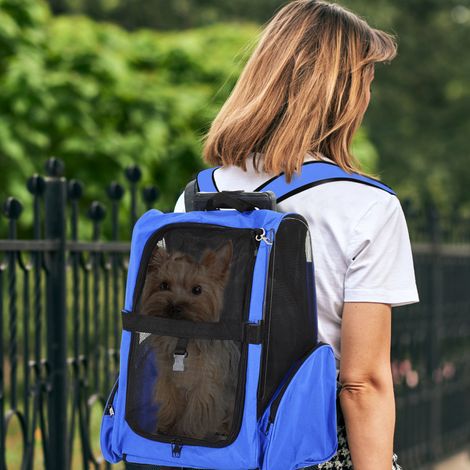 PawHut Sac de Transport 2-en-1 à Roulettes pour Chien/Chat, Trolley & Sac à Dos, Poignée Téléscopique, Sacs de Rangement, Aérations, Attache de Sécurité, 42x25x55cm Bleu