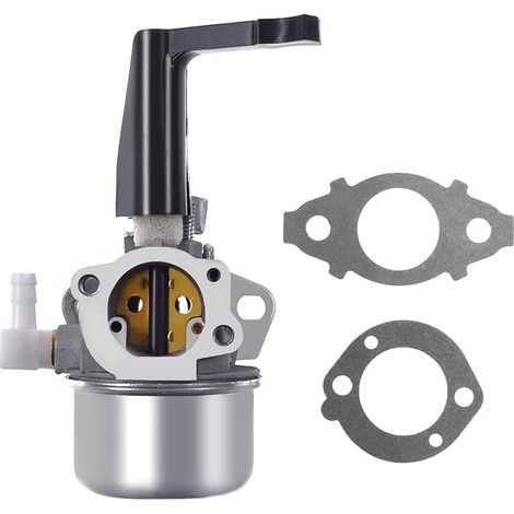 Vergaser-Ersatz 696065 mit Dichtungsset für Briggs & Stratton Motoren (1/4)