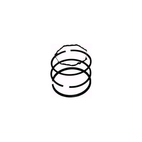 391672 - Jeu de segments pour moteur BRIGGS et STRATTON