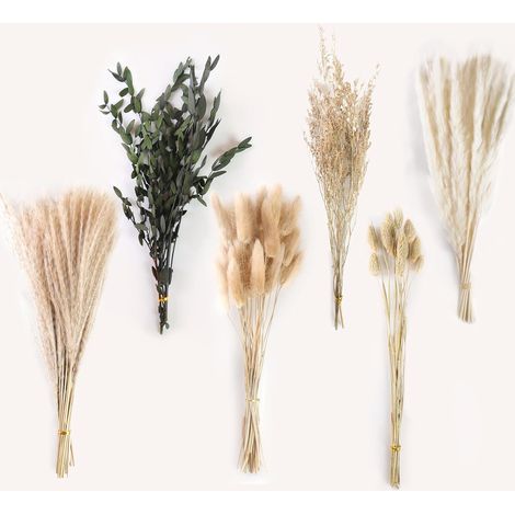 Pampas Séchées Décoration, 65 Fleurs Séchées Naturelles Décoration, Bouquet de Roseaux DIY, Bouquet de Décoration de Style Bohème, pour Maison, Salon, Chambre, Mariage, Vacances (1/5)