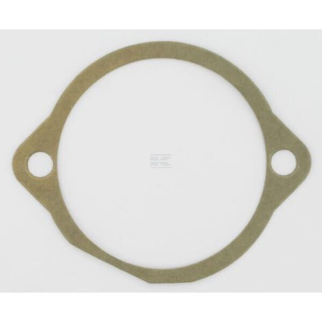 Guarnizione M10100126R MASCHIO M10100126R