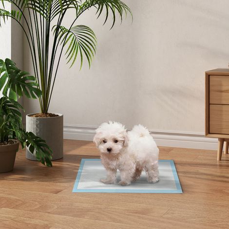 Dog Pads 100 Unités Design Couches Surface Étanche Séchage Rapide Bleu 45x30cm (1/4)
