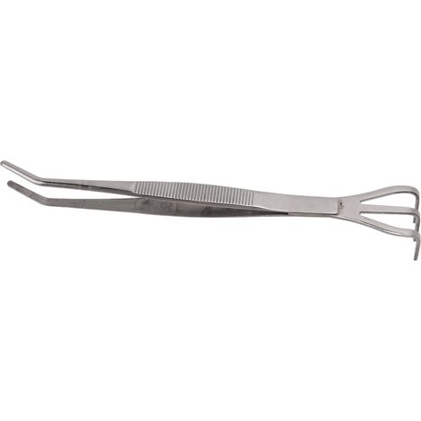 Râteau racine en acier inoxydable avec pince à 3 dents, outil bonsaï pour ameublir le sol, poignée ergonomique courbée (1/5)
