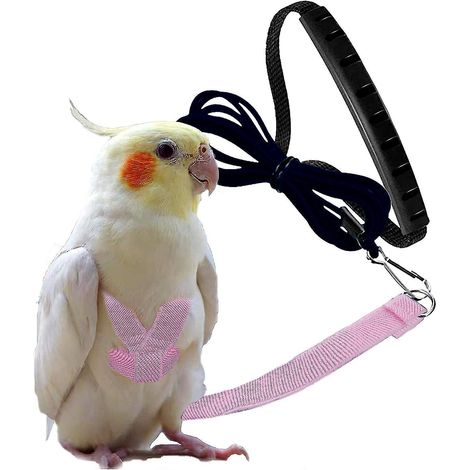 Verstellbares Vogelgeschirr mit 2 Meter langer Leine, Outdoor-Flugset mit Trainingsseil für Papageien und Nymphensittiche – Hellrosa (1/5)