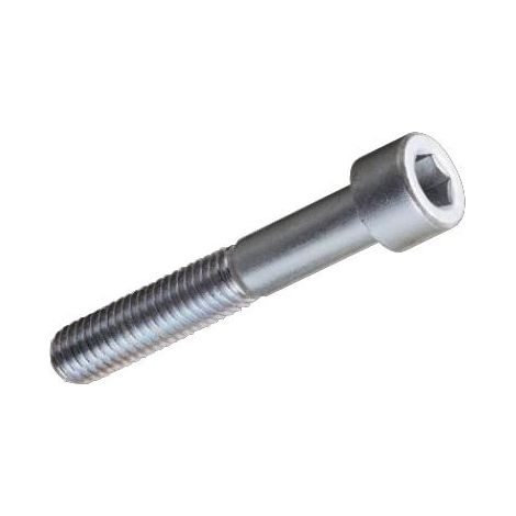 Viti per Metallo TC Testa Cilindrica Esagono Incassato 6x40 mm Zincate 200 pz