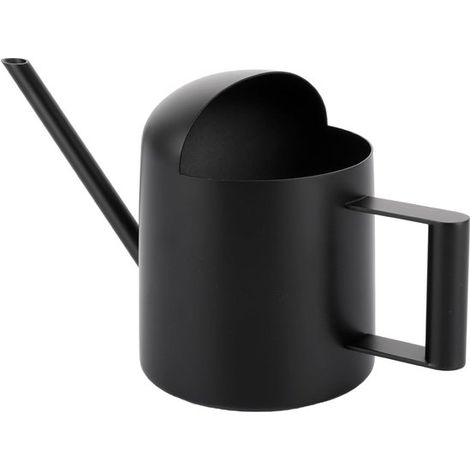 Arrosoir pour plantes d'intérieur, 300 ml, mini en acier inoxydable avec long bec, idéal pour les plantes en pot et la verdure (noir) (1/5)