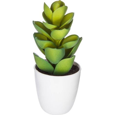 Pianta succulenta e cactus H18cm - Modello a - Atmosphera créateur d'intérieur