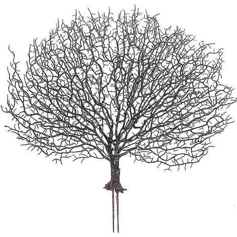 1 plante artificielle décorative (1/3)