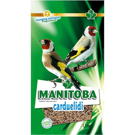 Carduelidi - Manitoba | 800 gr