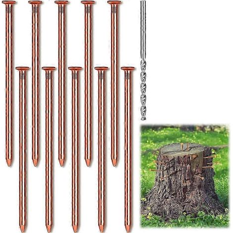 10 clous en cuivre pour l'enlèvement des souches d'arbres, clous en cuivre pur de 8 cm de long, avec forets, clous pour l'enlèvement des souches d'arbres EM (1/5)