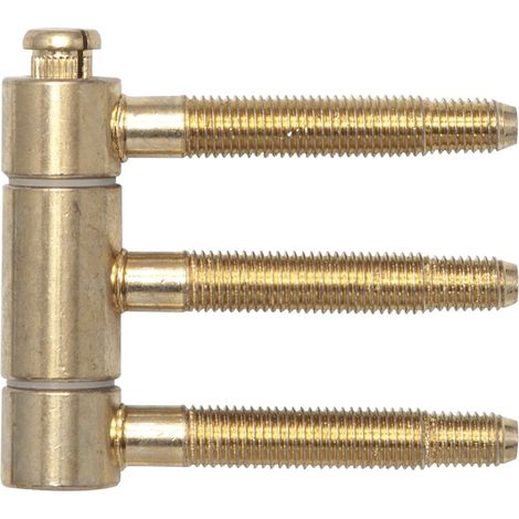 SFS Einbohrband (Steckband) 3-teilig, ø 18mm Höhe 61 mm Stahl vermessingt (1/3)