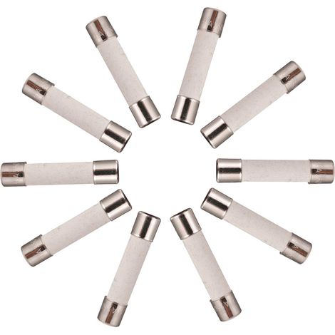 T30A250V 6x30 mm 30 A 250 V Fusibles en céramique à fusion lente 30 amp 250 Volt 0,24 x 1,18 pouces Fusible à retard de tube en céramique(paquet de 20 pièces) (1/4)