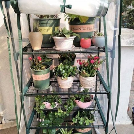 Serre jardin - 1 pièce, porte enroulable, couverture PVC transparente, aluminium - Convient pour tomates, légumes, balco Étiquette (1/5)
