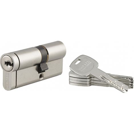 Cilindro Transit 2 30 x 40 mm, nichelato, anti-perforazione, anti-scasso, 5 chiavi – THIRARD (1/5)