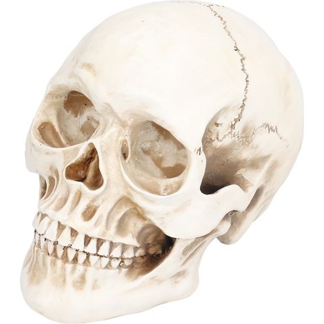 Crânes d'animaux miniatures, décorations en forme de crâne, ornements, objets en résine, articles d'Halloween pour la maison et les fêtes (1/5)