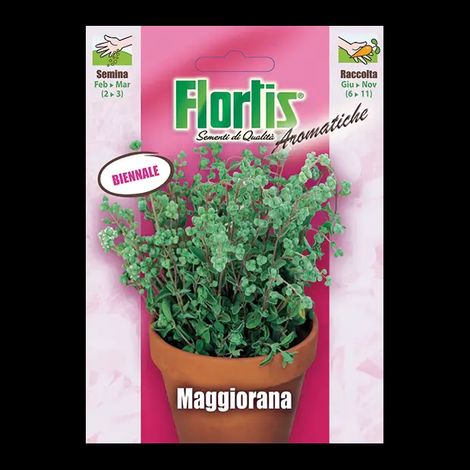 FLORTIS Maggiorana (1/2)