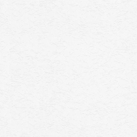 Papier peint 953711 BRICOFLOR Meistervlies 2020 (1/5)