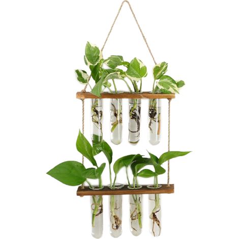 Vase Éco Vase mural en bois et verre borosilicate 23x16x5cm transparent pour 8 plantes avec support incl. (1/5)