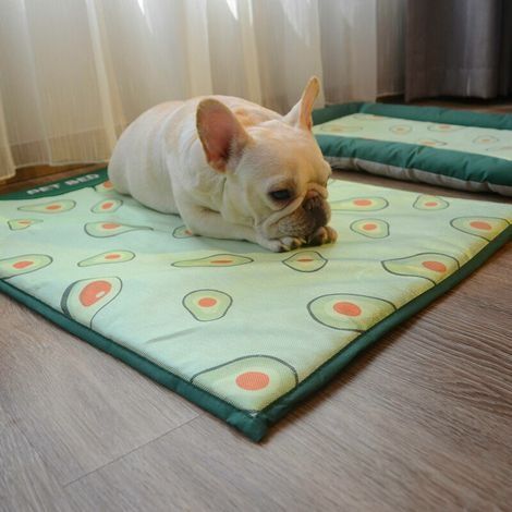 Großes Hundekorbkissen (55 x 38 x 5 cm), wendbares Hundebett (kühl und warm), abnehmbarer, waschbarer Bezug und wasserdichte Schicht, rutschfester Boden (1/4)