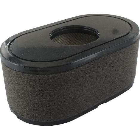 Filtro LONCIN 180100123-0001 1801001230001