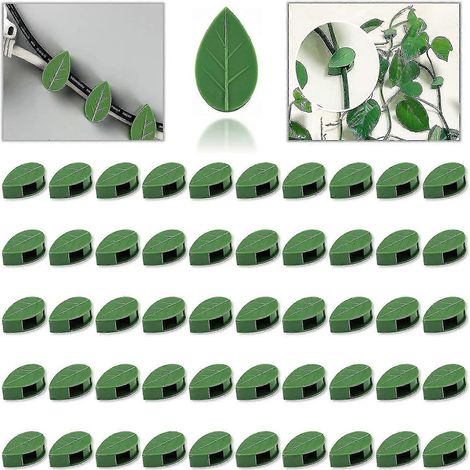 50 supports muraux pour plantes grimpantes, clips invisibles et auto-adhésifs pour suspendre les plantes, compatibles avec les fixations par fil métallique. (1/5)