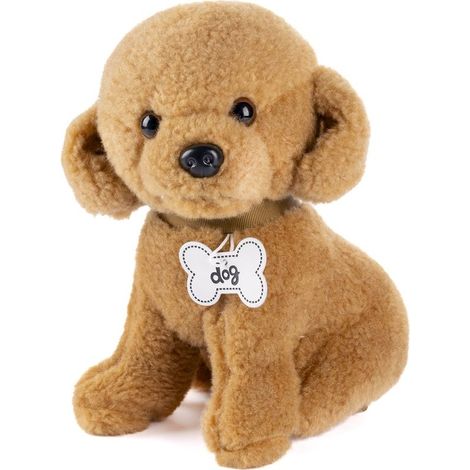 Un caniche beige mesurant 40 centimètres de haut. (1/5)