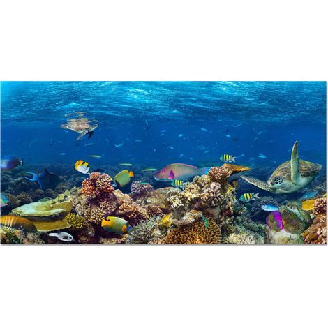 SALPICADERO DE COCINA Paisaje submarino - Pez - Tortuga - Azul 60x30 cm (1/5)