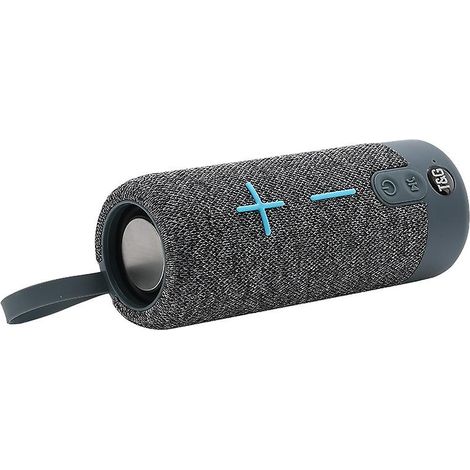 Enceinte Bluetooth portable grise sans fil avec basses profondes et son puissant à 360°