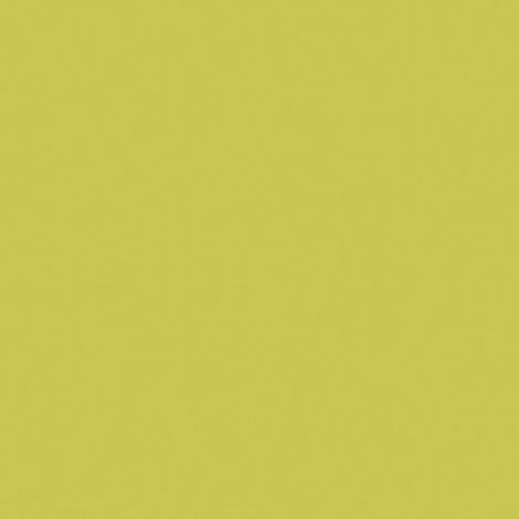Wasabi  Laminate Kitchen Splashback  3.03m x 600mm x 6mm  -  FP5341
