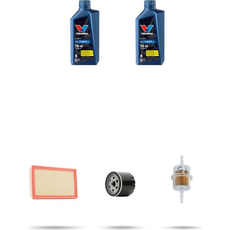 Kit tagliando 3 FILTRI e 2L OLIO compatibile con Ligier Be-Up 500 Diesel 4kw dal 2001 (1/5)