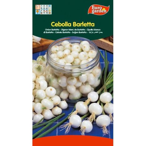 semillas fito horticolas cebolla barletta 00041 (caja 10 unidades)