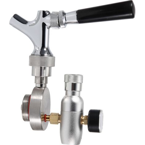 Kit de robinet à bière en acier inoxydable pour mini-fûts et growlers de 2L/3,6L/4L (1/5)