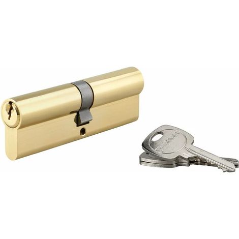 Cylindre de serrure double entrée 50x50mm – Anti-arrachement – 5 goupilles – 3 clés en laiton nickelé – Profil européen (1/4)