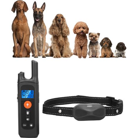 Collier de dressage électrique étanche jusqu'à 1000 mètres, rechargeable et multimode, pour chiens, idéal pour le dressage canin. (1/5)