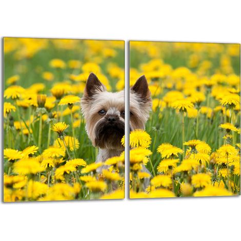 Placa protectora de vidrio para estufa 2x40x52 Perro (1/5)